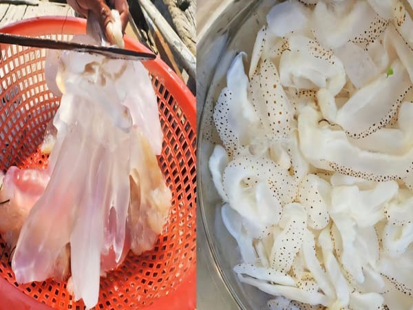 Cách bảo quản sứa biển được lâu